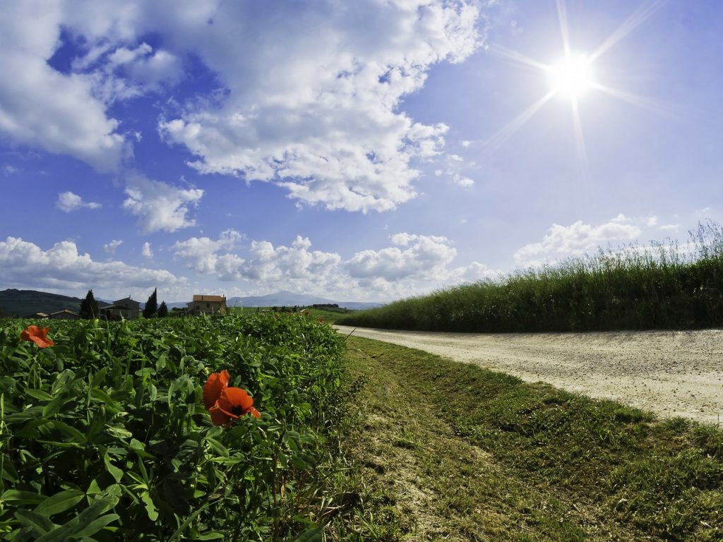 Une route ensoleillé