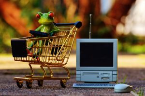 Grenouille qui prépare sa liste d'achat