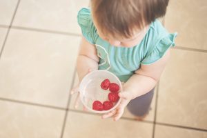 Toddler Food