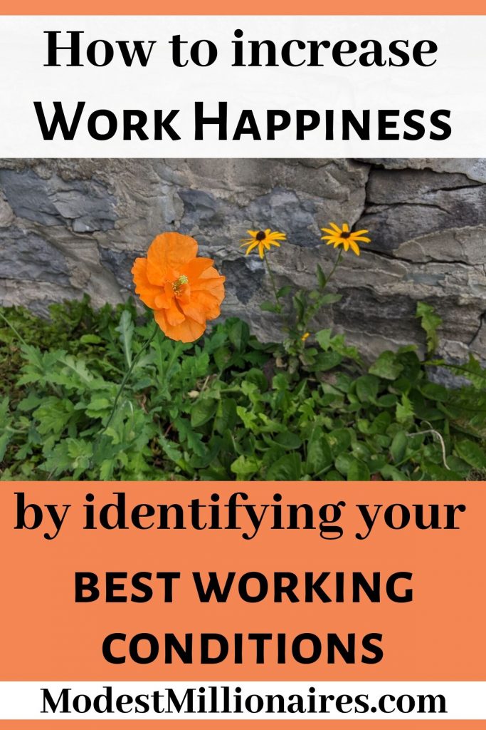 Increase your work happiness by identifying your best working conditions - flowers in front of wall