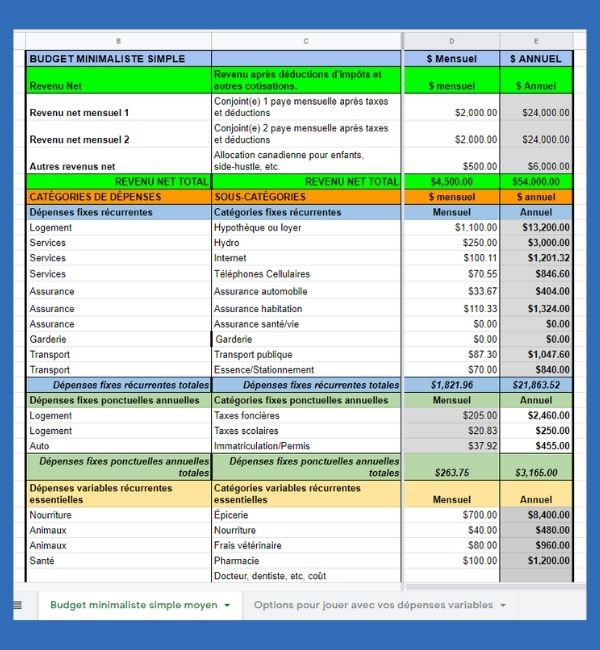 budget minimaliste simple revenu