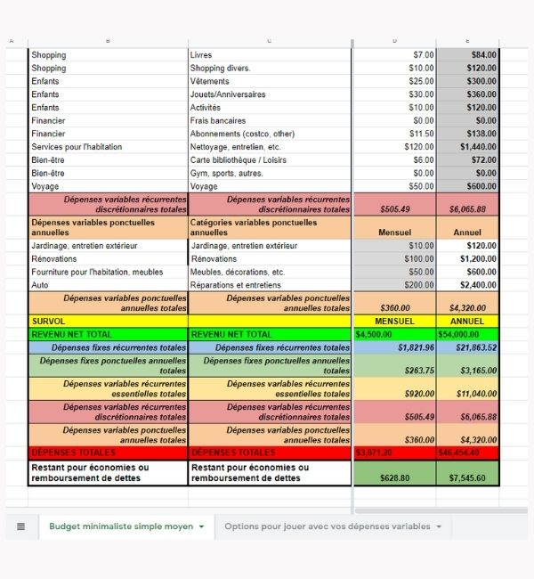 Budget Minimaliste Simple Survol