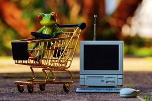 Frog planning his shopping